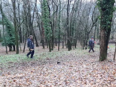 Promenons nous dans les bois, tant que la baliste n'y est pas