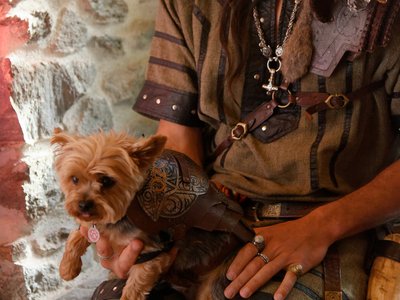 La mascotte 2024 de la Compagnie Briselame : Zozo, le féroce chien en armure !