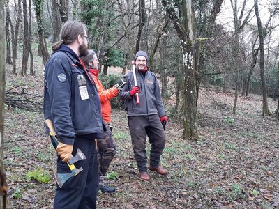 Choix des arbres à abattre pour la fabrication de la baliste