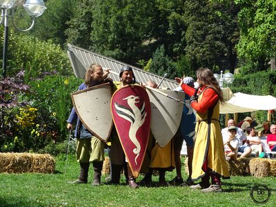 Compagnie Briselame - explications pédagogiques des lignes de bouclier au moyen-age