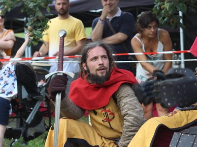 Compagnie Briselame - Combattant médiéval genou en terre auprès de son roi